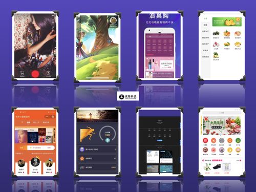 廈門小程序開發 泉州app開發 微信開發 軟件開發 軟件外包