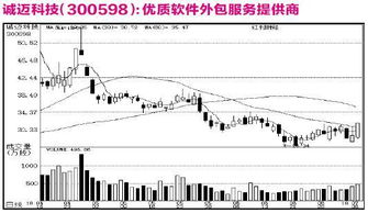 公司研究之機構(gòu)關(guān)注個股